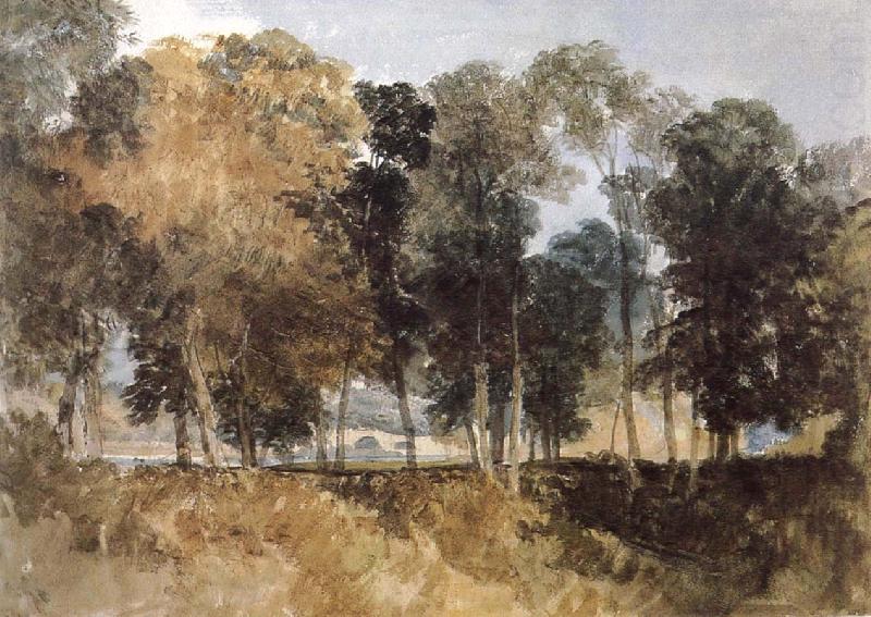 Forest, Joseph Mallord William Turner